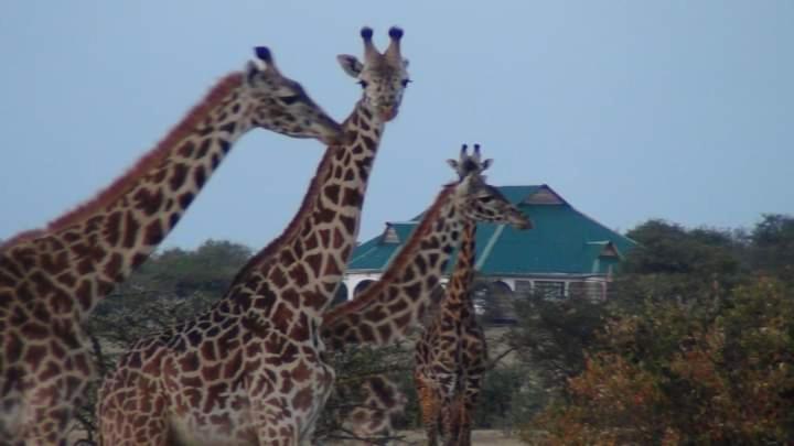 Narasha Homestay - Maasai Mara Talek Εξωτερικό φωτογραφία