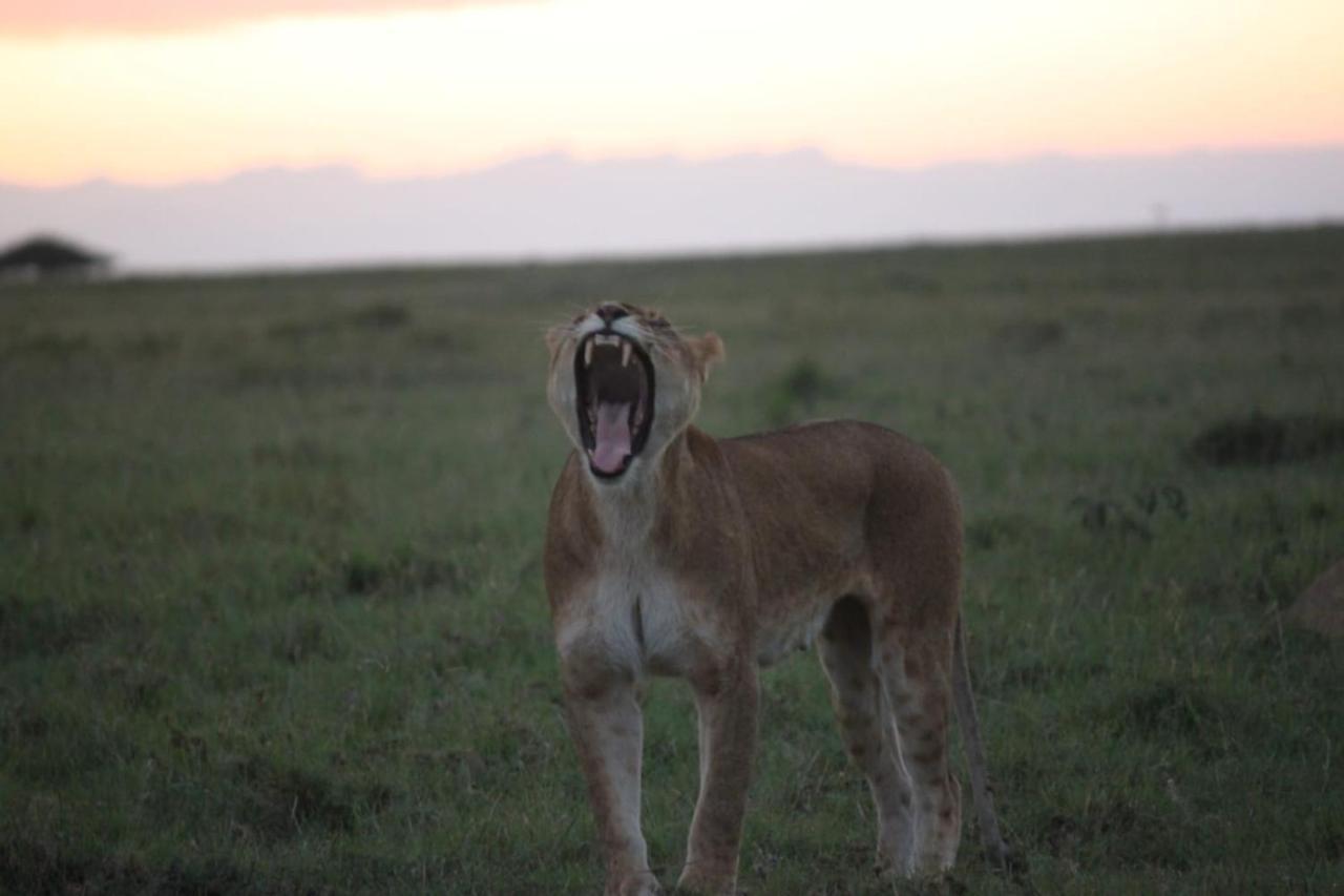 Narasha Homestay - Maasai Mara Talek Εξωτερικό φωτογραφία