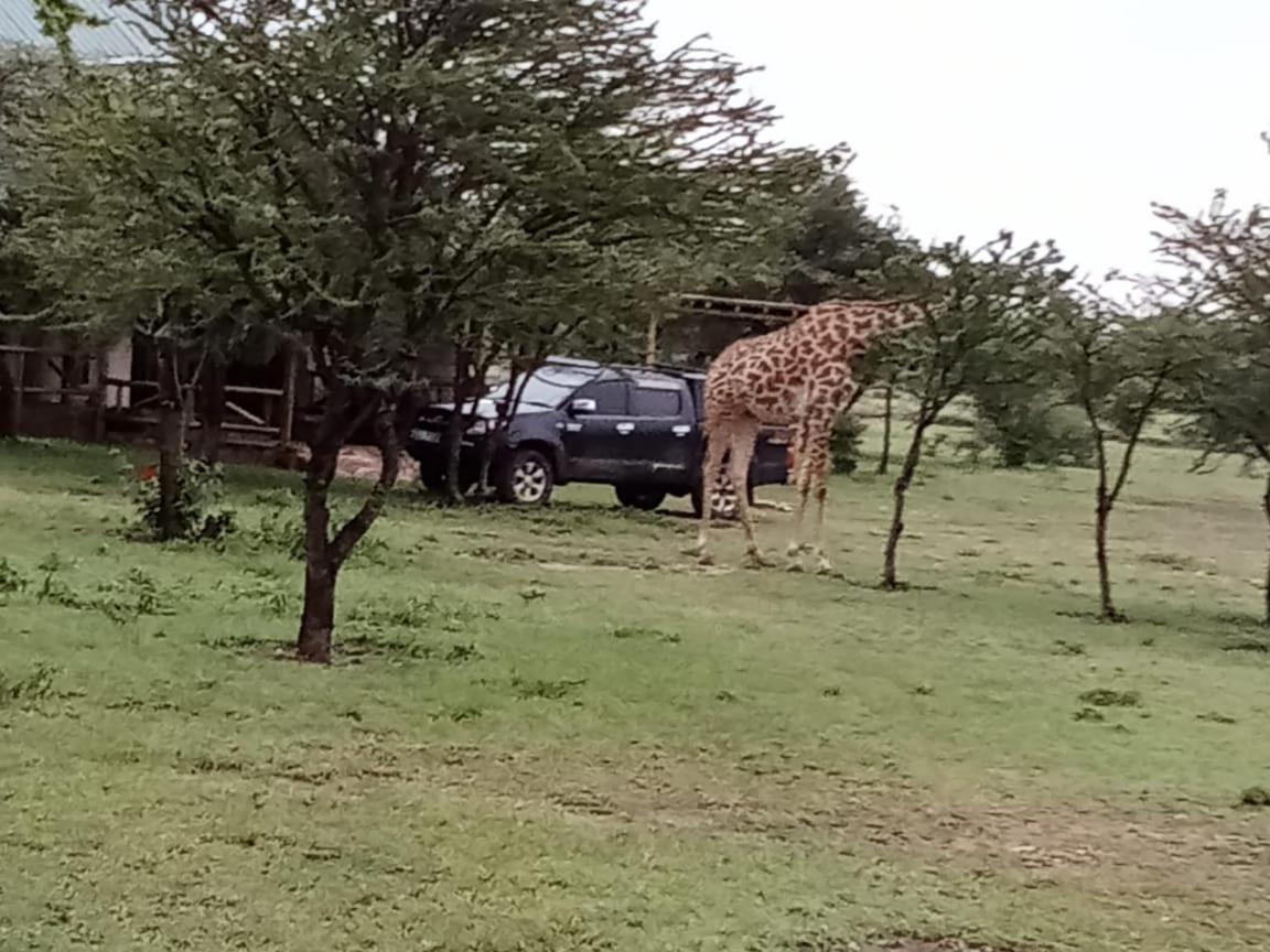 Narasha Homestay - Maasai Mara Talek Εξωτερικό φωτογραφία