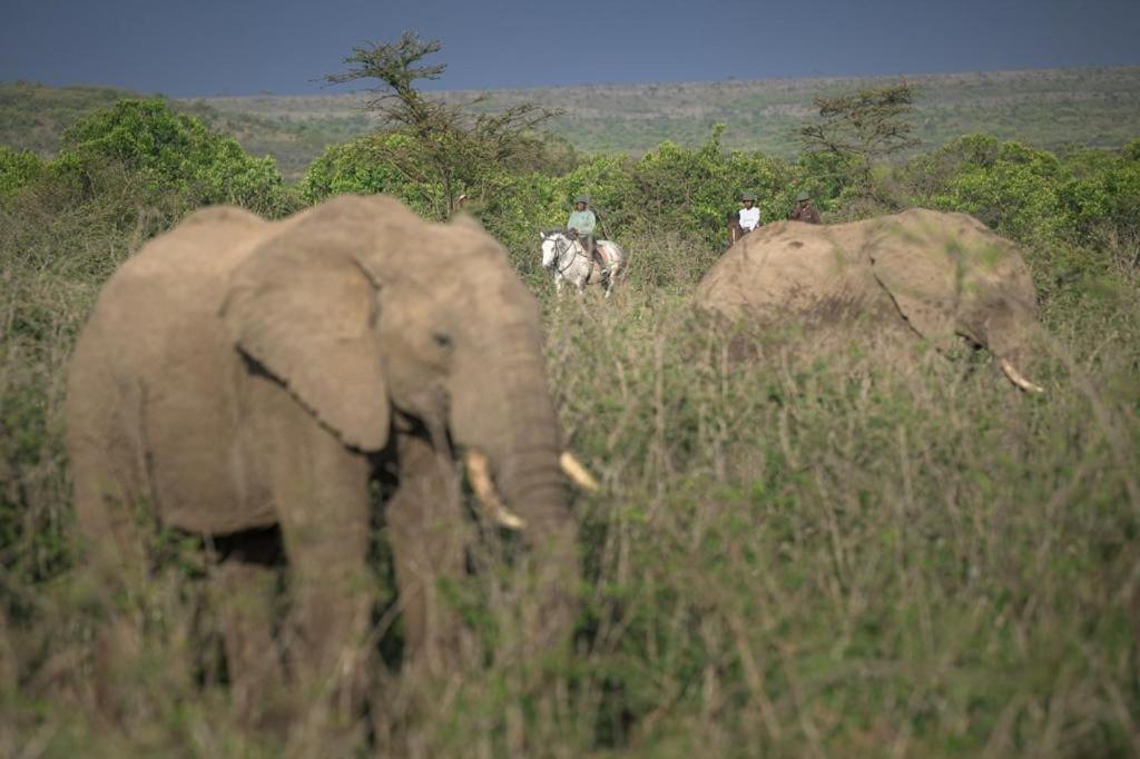 Narasha Homestay - Maasai Mara Talek Εξωτερικό φωτογραφία