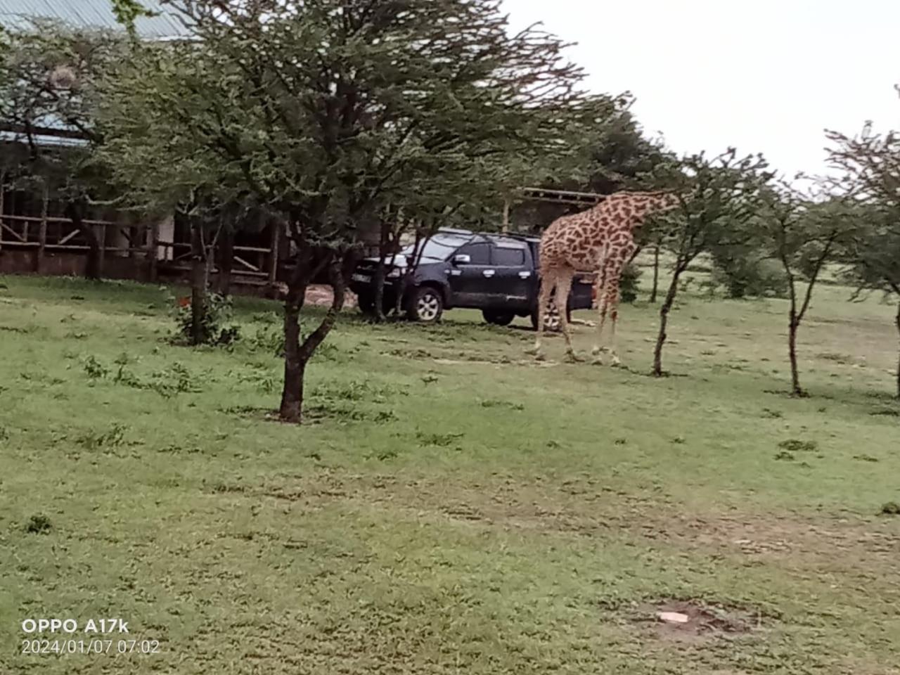 Narasha Homestay - Maasai Mara Talek Δωμάτιο φωτογραφία