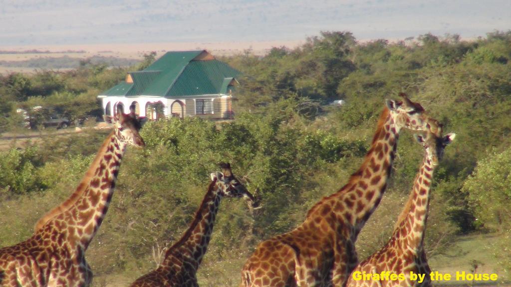 Narasha Homestay - Maasai Mara Talek Εξωτερικό φωτογραφία