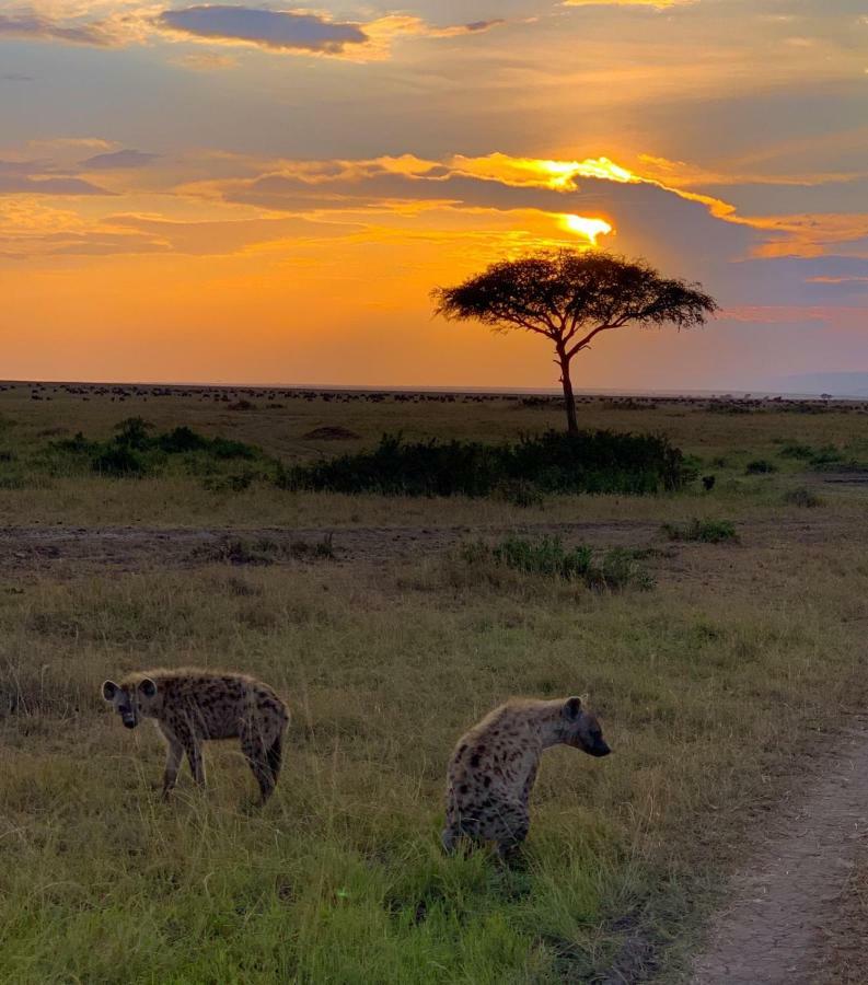 Narasha Homestay - Maasai Mara Talek Εξωτερικό φωτογραφία